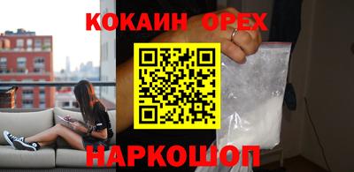 гидра Кингисепп