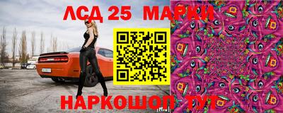гидра Кингисепп