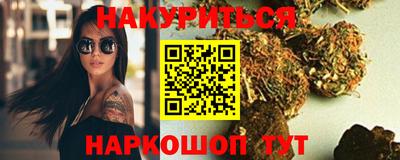 гидра Кингисепп