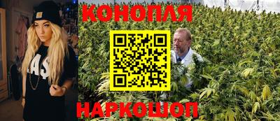 гидра Кингисепп