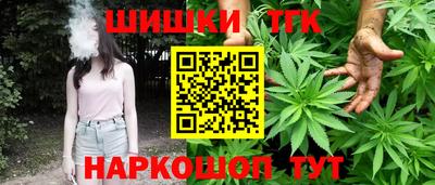 гидра Кингисепп